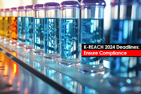 K-REACH 2024 Deadlines: Ensure Compliance
