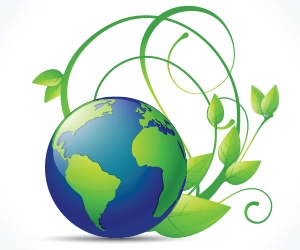 Certificación Ecocert COSMOS