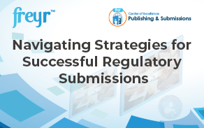 Navigating Strategies for Successful Regulatory Submissions