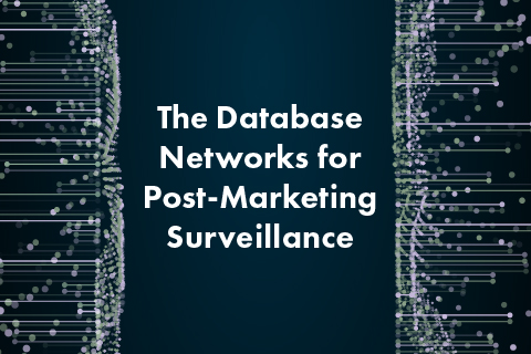 The Database Networks for Post-Marketing Surveillance