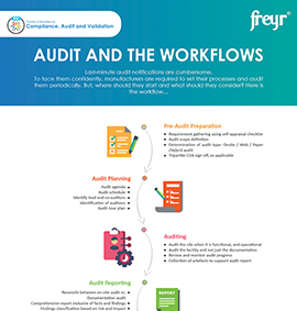 Audit And The Workflows