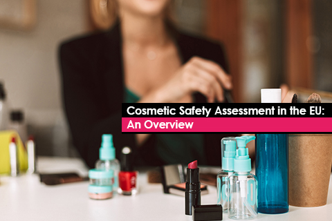Cosmetic Safety Assessment in the EU: An Overview