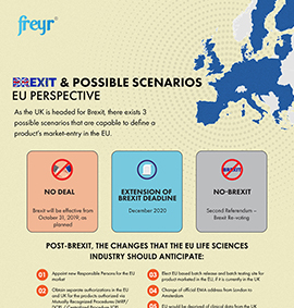 Brexit Possible Scenarios EU Perspective