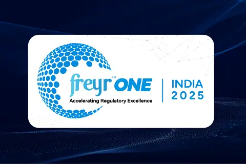 Regulatory Excellence and Innovation in the AI Era