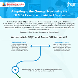 Adapting to the Change: Navigating the EU MDR Extension for Medical Devices
