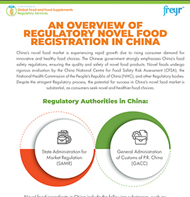 An Overview of Regulatory Novel Food Registration in China
