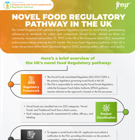 Novel Food Regulatory Pathway in the UK