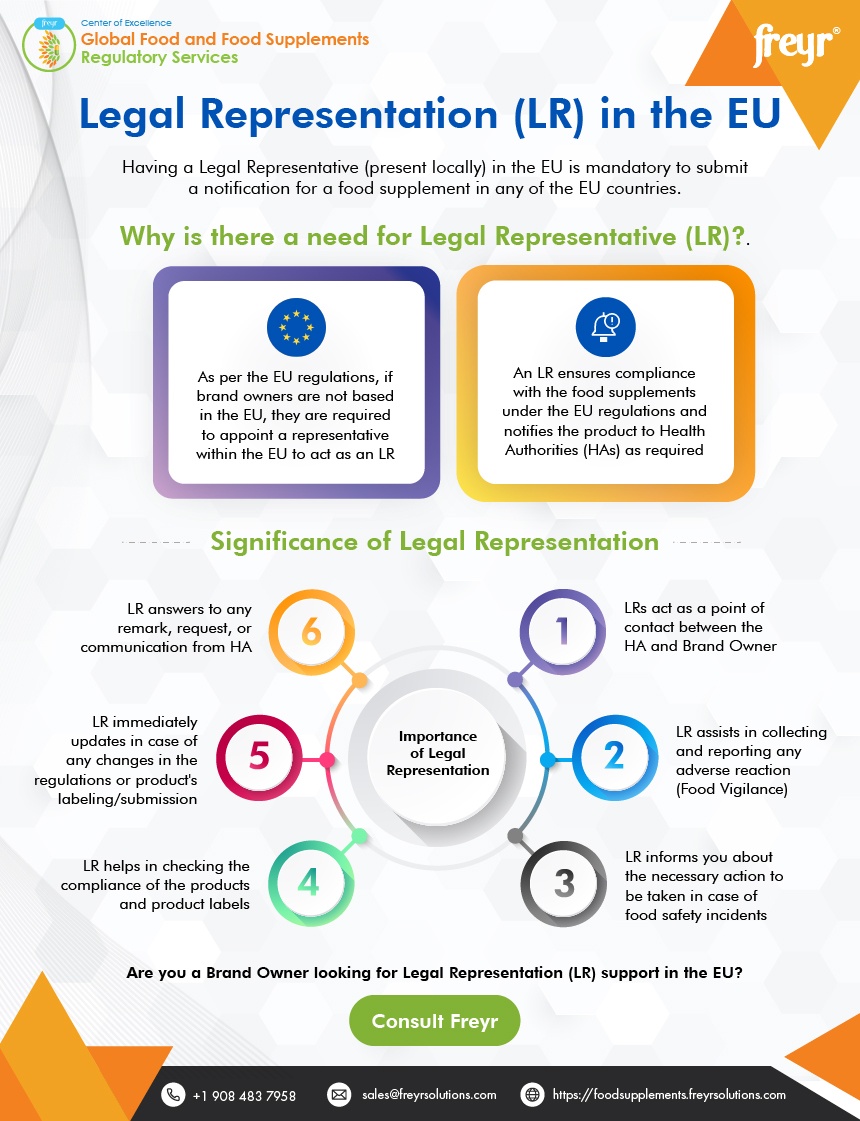 Legal Representation (LR) in the EU