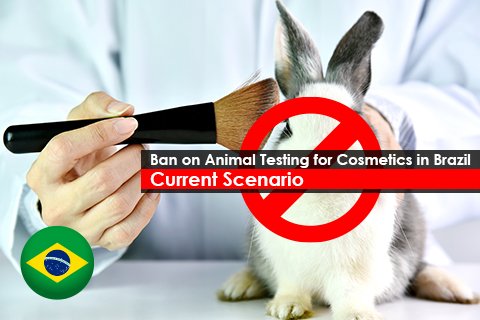 Brazil's Ban on use of animal testing for cosmetics – Current Scenario