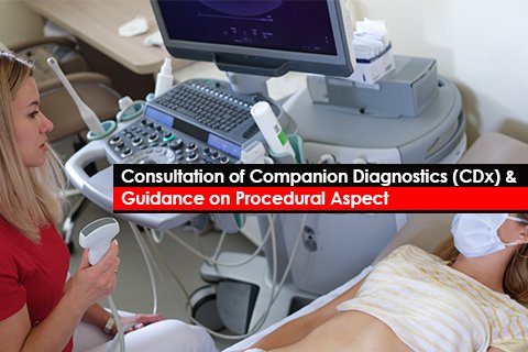Consultation of Companion Diagnostics (CDx) & Guidance on Procedural Aspect