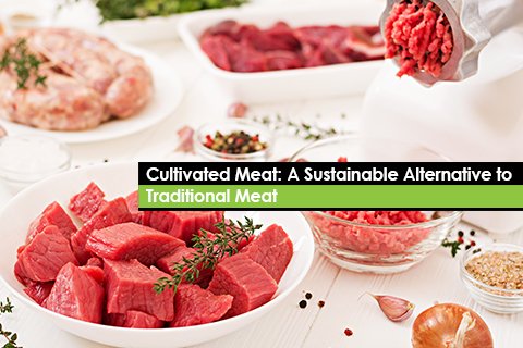 Cultivated Meat: A Sustainable Alternative to Traditional Meat