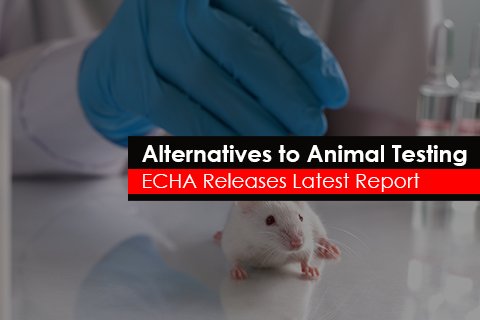 ECHA released latest report on alternatives to animal testing