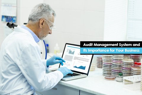Audit Management System and Its Importance for Your Business