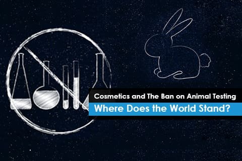 China bans post-market animal testing for cosmetic products