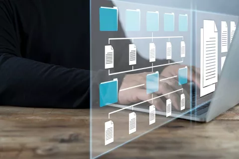Successful Filing of LCM-Grouped Submissions for an IND