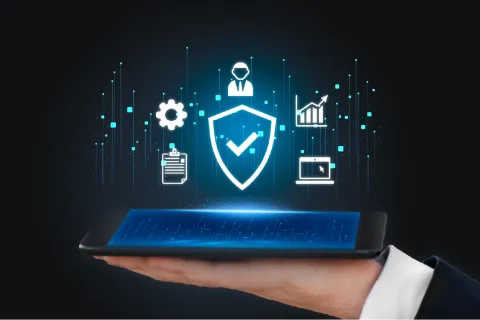 Compilation, Evaluation, and Submission of IR Quality to the USFDA