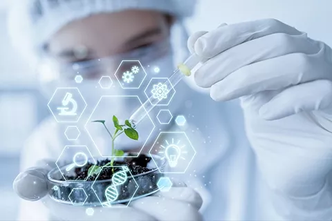 Guida completa alla navigazione regolatoria per il settore delle scienze della vita in Sri Lanka
