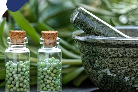 Exploring Botanicals: Comprehensive Insights into Japan, Korea, and China Markets