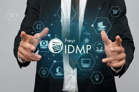 Road to IDMP Success Best Adaptation Approach for Your Organization