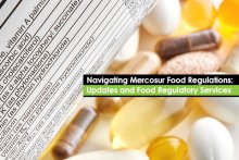 Navigating Mercosur Food Regulations: Updates and Food Regulatory Services