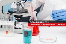 Risk Assessment of Chemical Substances in Canada