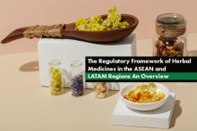 The Regulatory Framework of Herbal Medicines in the ASEAN and LATAM Regions: An Overview