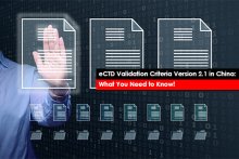 eCTD Validation Criteria Version 2.1 in China: What You Need to Know!