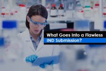 IND Submission Overview and its components