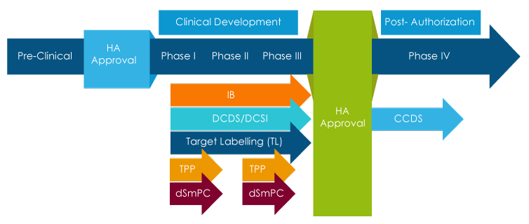 Clinical Overview and Labeling Process